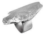 Fossil ring